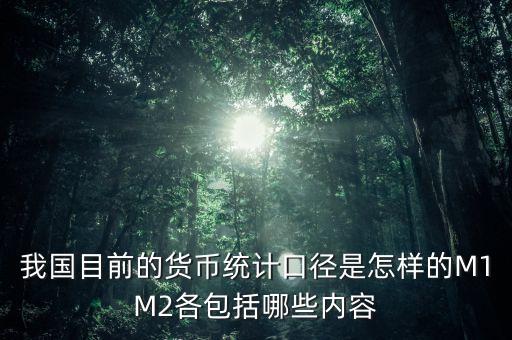 m2的貨幣統(tǒng)計(jì)口徑包括什么，我國(guó)廣義貨幣供應(yīng)量的統(tǒng)計(jì)口徑是什么