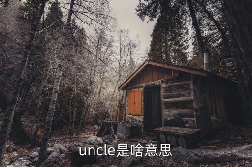 uncle是啥意思