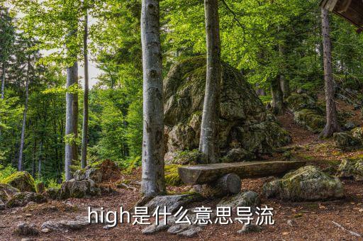 high是什么意思導流