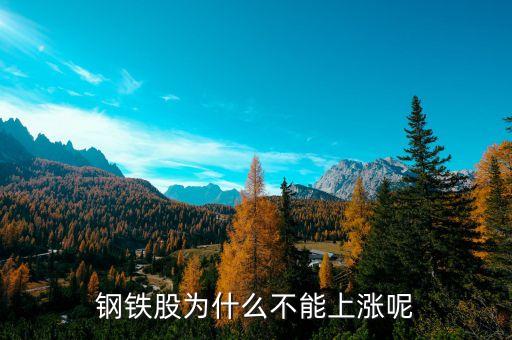 鋼鐵股為什么不能上漲呢