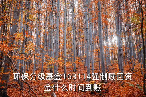 163114什么時候開盤，163114是個什么玩意啊賣也賣不出