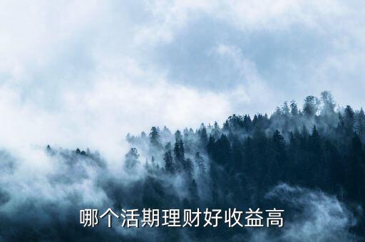 什么理財活期高，收益最高的活期理財產(chǎn)品都有哪些