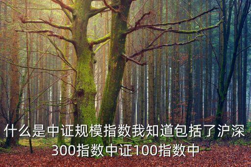 什么是中證規(guī)模指數(shù)我知道包括了滬深300指數(shù)中證100指數(shù)中