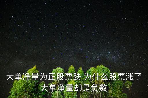 大單凈量為什么會大于1，為什么凈流入大筆資金大單凈量卻負很多