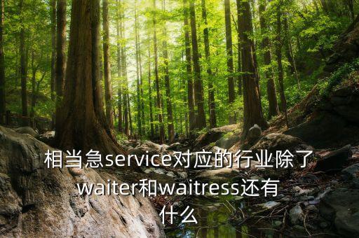 相當(dāng)急service對應(yīng)的行業(yè)除了waiter和waitress還有什么