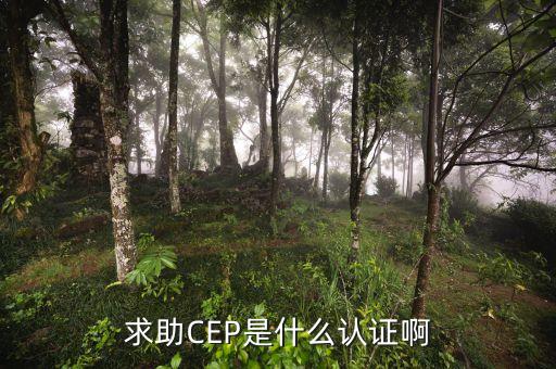 cep是什么認(rèn)證，CEP是什么