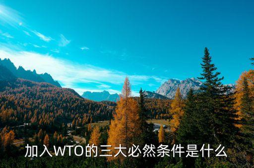 加入WTO的三大必然條件是什么