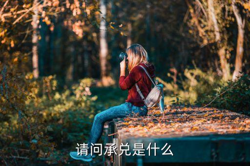 請(qǐng)問(wèn)承兌是什么