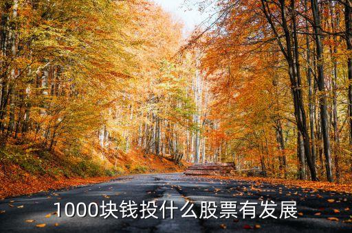 1000塊錢投什么股票有發(fā)展