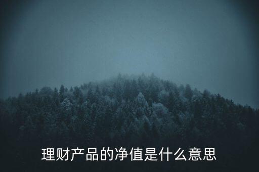 理財產(chǎn)品的凈值是什么意思