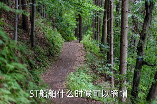 st民和什么時(shí)候摘帽，ST船舶什么時(shí)候可以摘帽