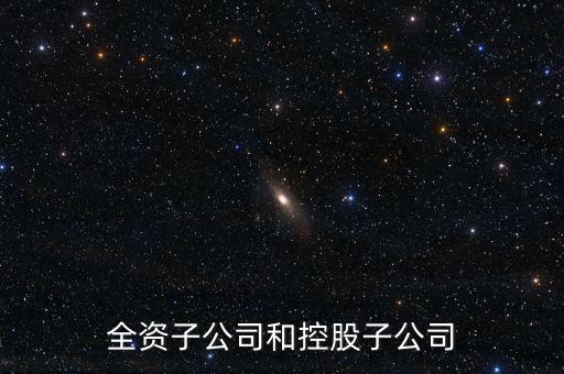 全資控股子公司是什么意思，全資子公司是怎么意思啊