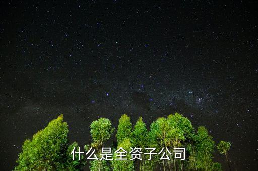 什么是全資子公司