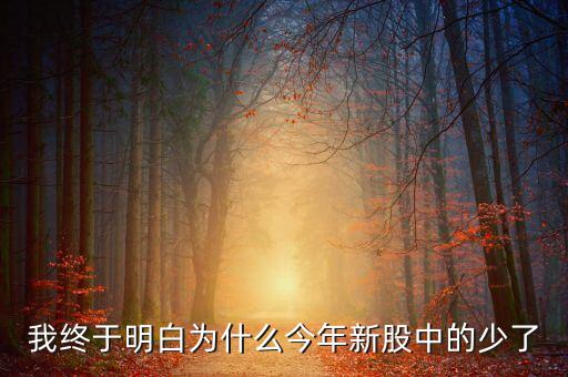 為什么滬市新股少，我終于明白為什么今年新股中的少了