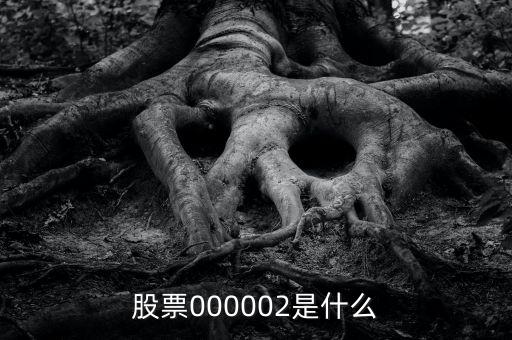 股票000002是什么