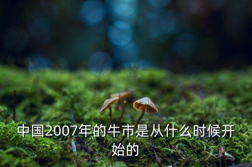 中國2007年的牛市是從什么時(shí)候開始的