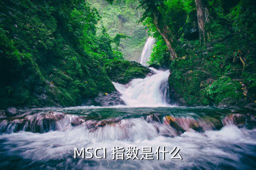 MSCI 指數(shù)是什么