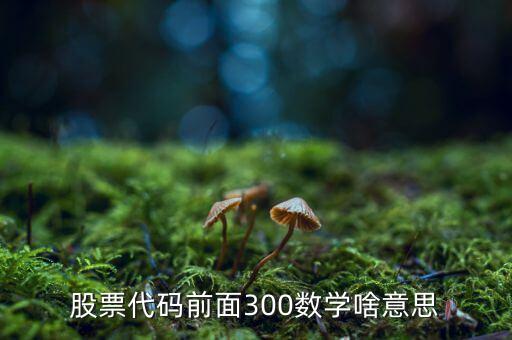 股票代碼前面300數(shù)學啥意思