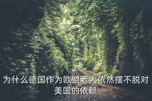 為什么德國作為歐盟老大依然擺不脫對(duì)美國的依賴