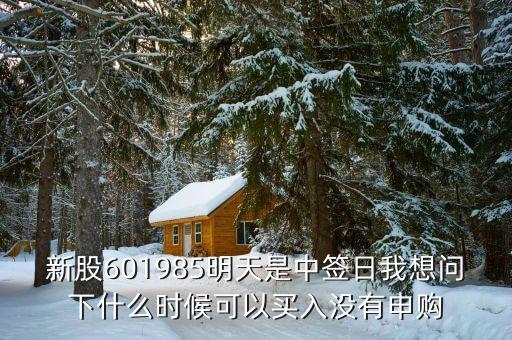 601985什么時候上市的，中國核電什么時候上市中國核電股票代碼多少