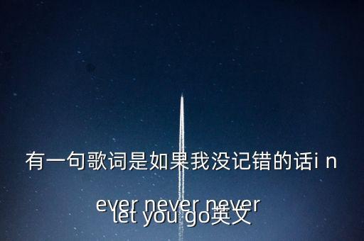 有一句歌詞是如果我沒記錯的話i never never never let you go英文