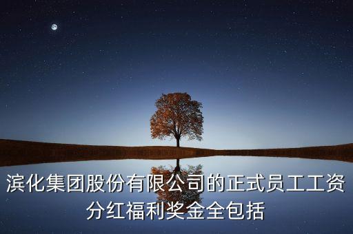 濱化集團(tuán)股份有限公司的正式員工工資分紅福利獎(jiǎng)金全包括