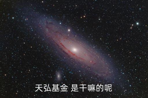 天弘基金 是干嘛的呢