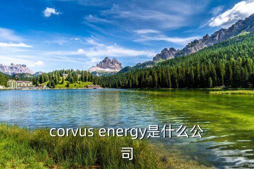 凱富能源是什么公司，corvus energy是什么公司