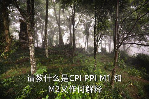 m2指數(shù)是什么，請教什么是CPI PPI M1 和 M2又作何解釋