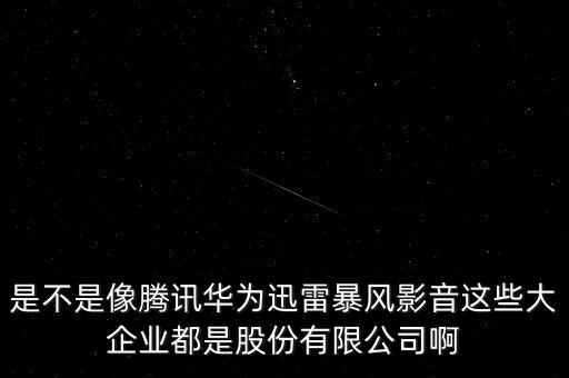 是不是像騰訊華為迅雷暴風影音這些大企業(yè)都是股份有限公司啊