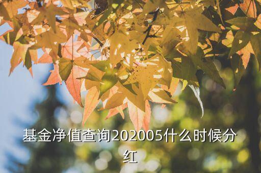 基金凈值查詢202005什么時候分紅