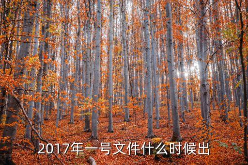 2017年一號(hào)文件什么時(shí)候出