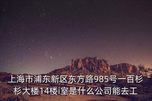 上海市浦東新區(qū)東方路985號(hào)一百杉杉大樓14樓i室是什么公司能去工