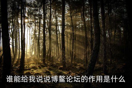 博鰲論壇給海南島帶來什么，誰能給我說說博鰲論壇的作用是什么