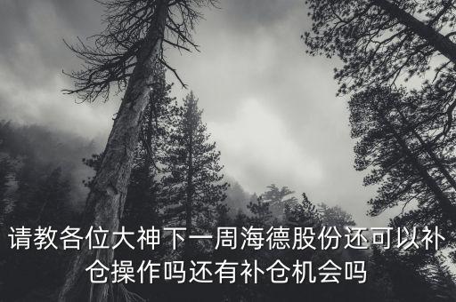 請教各位大神下一周海德股份還可以補(bǔ)倉操作嗎還有補(bǔ)倉機(jī)會嗎