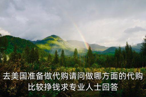 去美國準(zhǔn)備做代購請問做哪方面的代購比較掙錢求專業(yè)人士回答