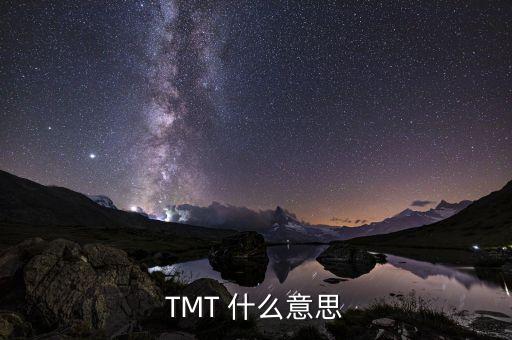 TMT 什么意思