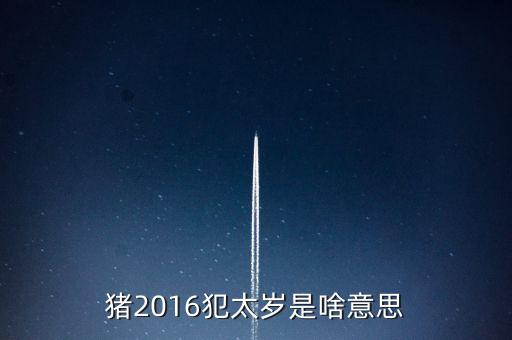 2016年犯什么星辰表，1974年的人在2016年犯太陽(yáng)星嗎