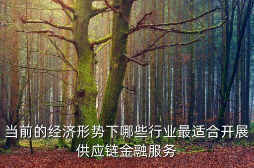 什么行業(yè)不適合產(chǎn)業(yè)鏈金融服務(wù)，產(chǎn)業(yè)鏈金融是什么