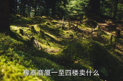 豫泰商廈一至四樓賣(mài)什么