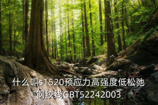 什么叫s1520預(yù)應(yīng)力高強(qiáng)度低松弛鋼絞線GBT52242003