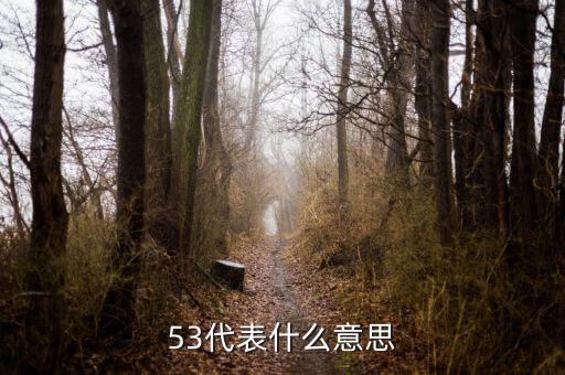 發(fā)紅包53代表什么意思，53代表什么意思