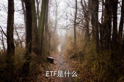 周期etf是什么，ETF具體指什么