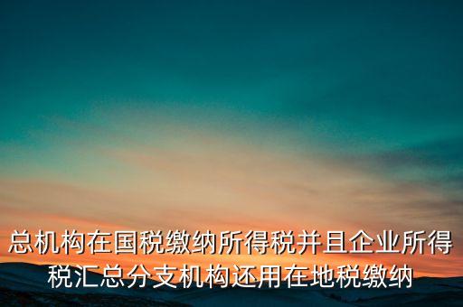 總機(jī)構(gòu)在國稅繳納所得稅并且企業(yè)所得稅匯總分支機(jī)構(gòu)還用在地稅繳納