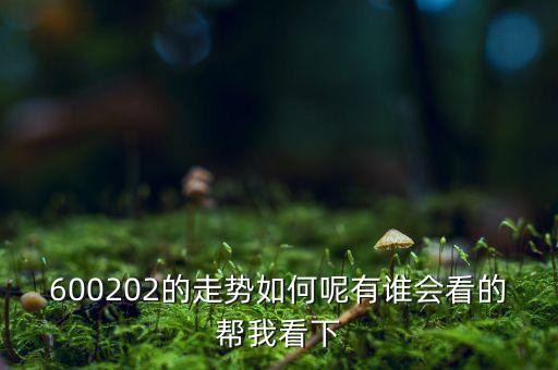 600202有什么概念，誰能幫我分析一下600202