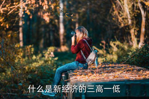 什么是新經(jīng)濟的三高一低