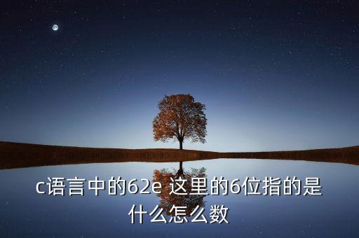 什么是dde散戶數(shù)量，c語言中的62e 這里的6位指的是什么怎么數(shù)