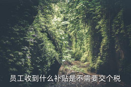 員工收到什么補(bǔ)貼是不需要交個(gè)稅