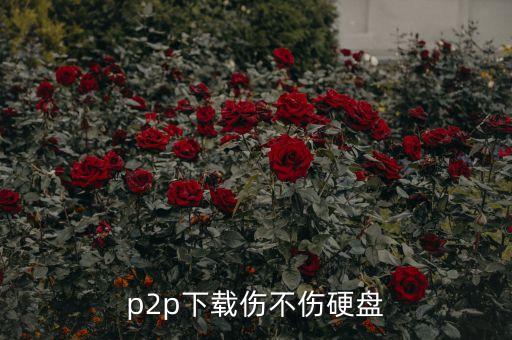 p2p下載傷不傷硬盤