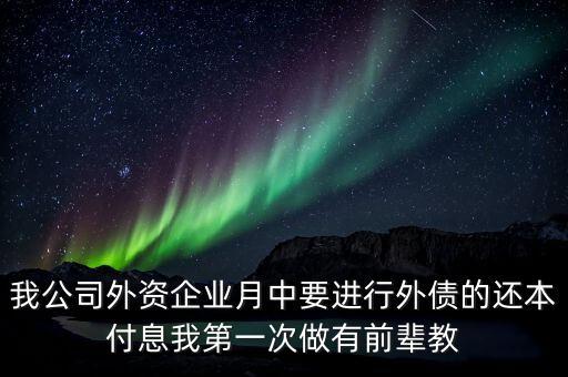 我公司外資企業(yè)月中要進(jìn)行外債的還本付息我第一次做有前輩教